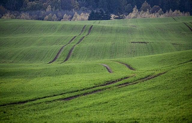 Literárne stopy na Brači: Po stopách slávneho spisovateľa