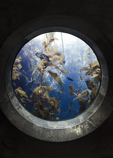 Aquarium Pula: Ceny vstupného a tipy na návštevu