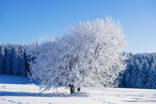 Zimná rozprávka: Plitvické jazerá v decembri