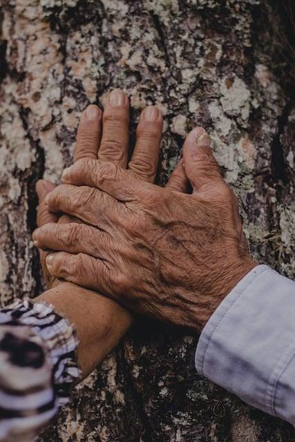 Tipy na romantické reštaurácie a kaviarne v okolí