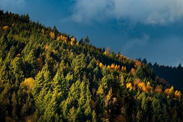 V novembri k moru: Jesenná pohoda na chorvátskych plážach