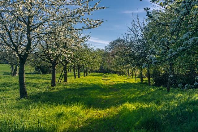 Ovocné a zeleninové lahôdky priamo z miestnych farmárskych dvorov