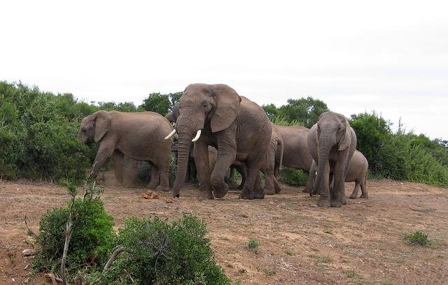 Afrika: 5 top destinácií pre nezabudnuteľnú dovolenku