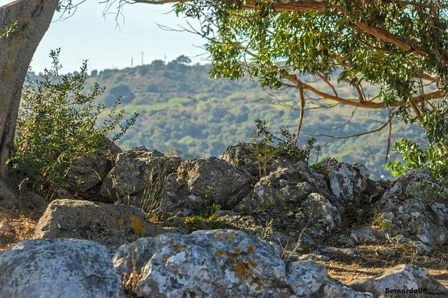 Vila Topič Vodice: Autentický chorvátsky zážitok