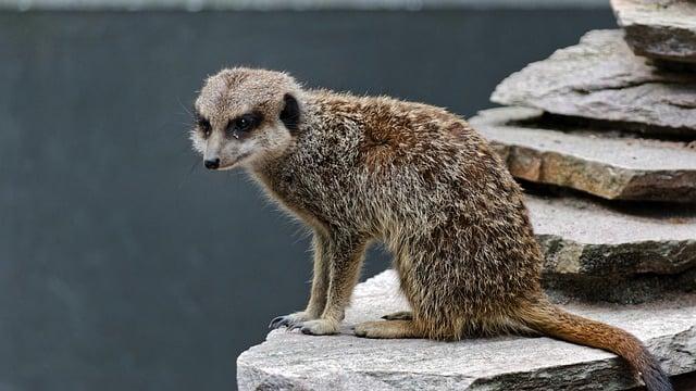 Fauna a flóra parku