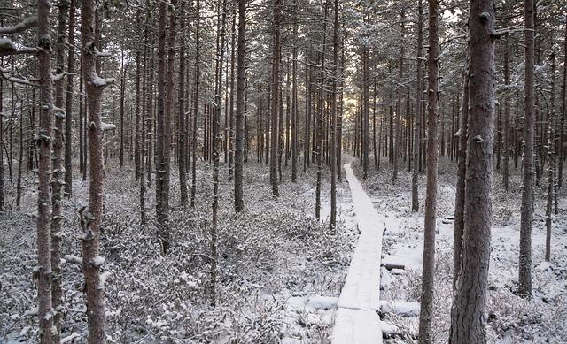 Promenády s nádherným výhľadom na jadranské more