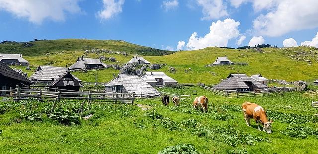 Velika Plaža Omiš: Najdlhšia Piesočná Pláž v Chorvátsku