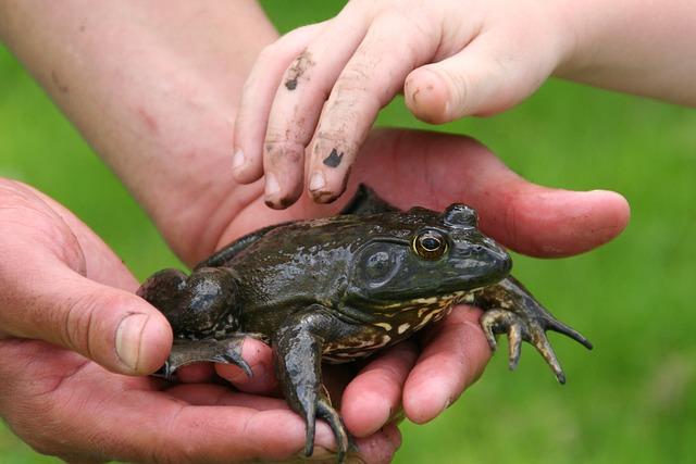 Dôležitosť environmentálneho vzdelávania v boji proti znečisteniu